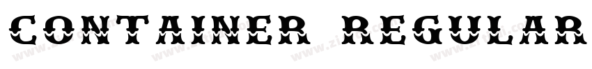 CONTAINER REGULAR字体转换